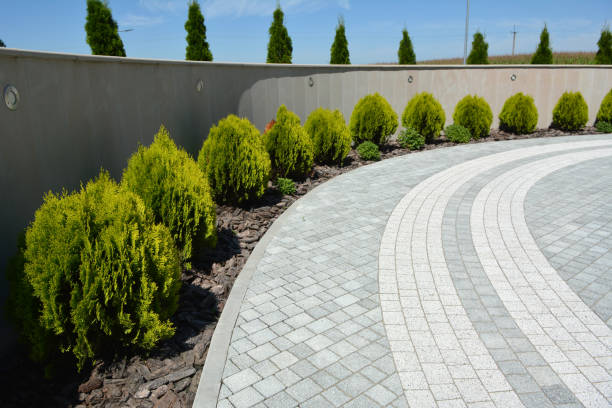 Reasons to Select Us for Your Driveway Paving Requirements in Torrington, CT